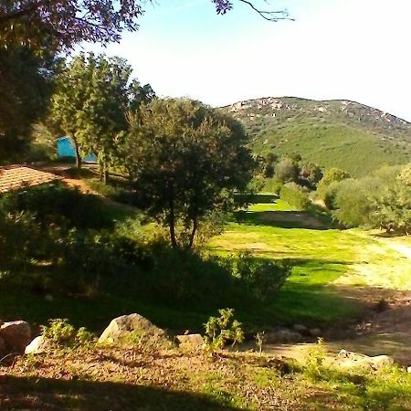 Farm Stay Gli Oleandri Loiri Porto San Paolo Luaran gambar