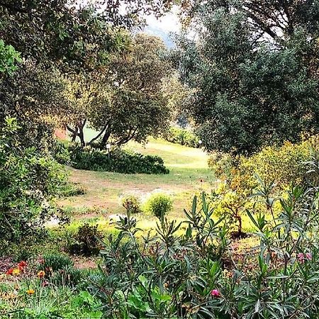 Farm Stay Gli Oleandri Loiri Porto San Paolo Luaran gambar