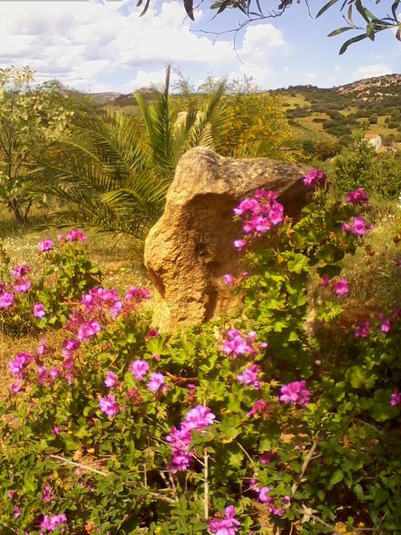 Farm Stay Gli Oleandri Loiri Porto San Paolo Luaran gambar