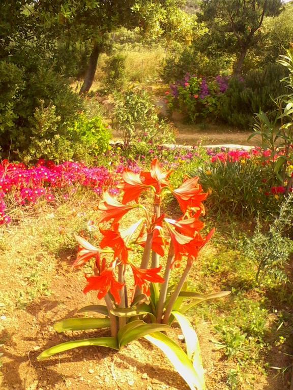 Farm Stay Gli Oleandri Loiri Porto San Paolo Luaran gambar