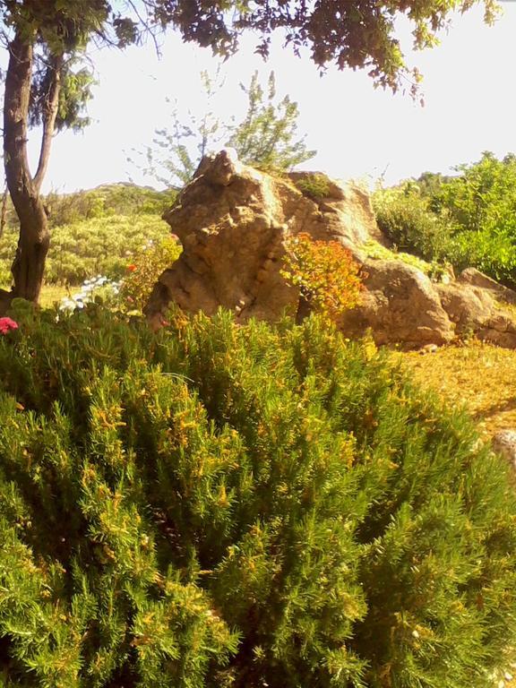 Farm Stay Gli Oleandri Loiri Porto San Paolo Luaran gambar