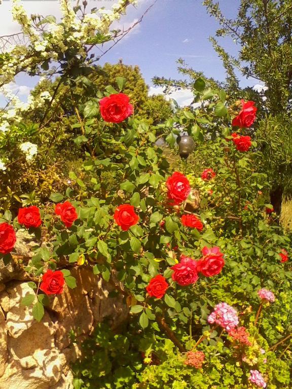 Farm Stay Gli Oleandri Loiri Porto San Paolo Luaran gambar