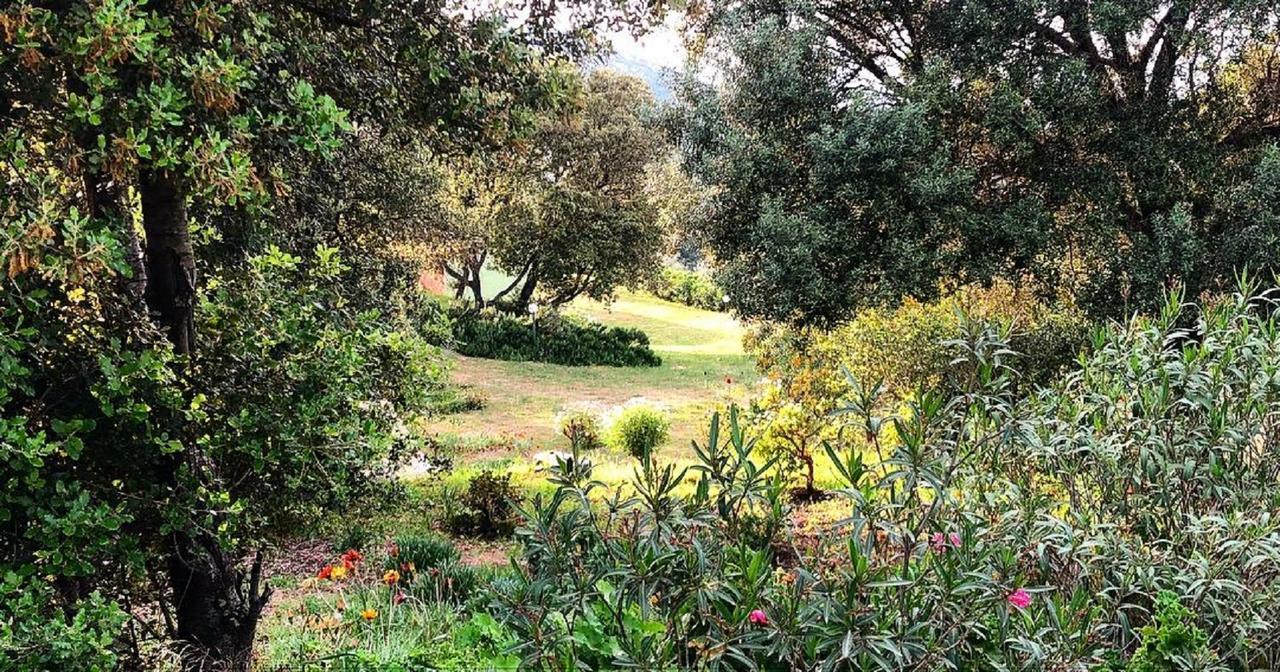 Farm Stay Gli Oleandri Loiri Porto San Paolo Luaran gambar