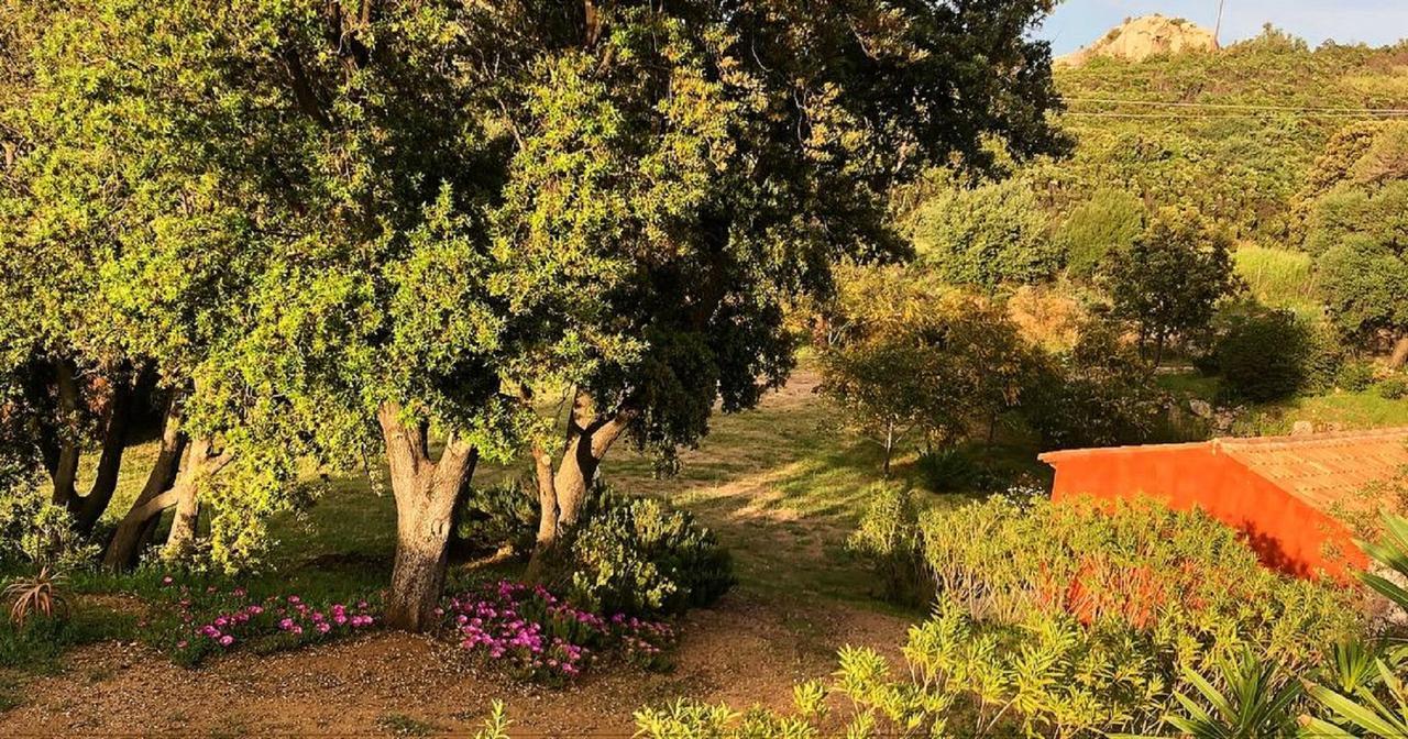 Farm Stay Gli Oleandri Loiri Porto San Paolo Luaran gambar