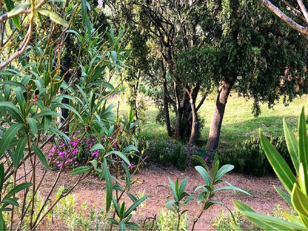 Farm Stay Gli Oleandri Loiri Porto San Paolo Luaran gambar